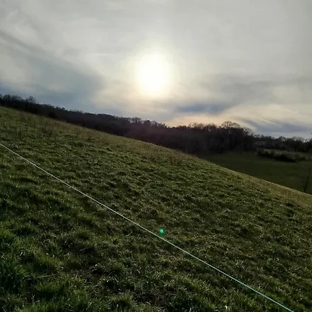 Апартаменты Le Petit Moineau