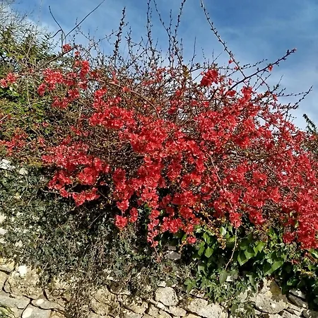 דירה Le Petit Moineau *