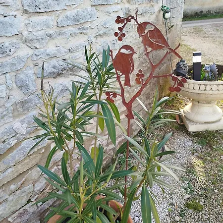 Le Petit Moineau דירה *