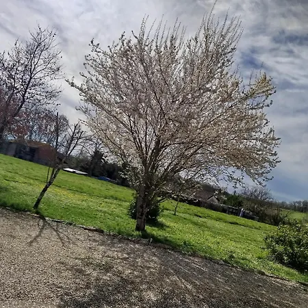 Le Petit Moineau * Corgnac-sur-l'Isle