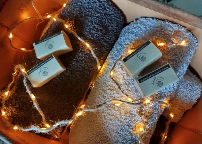 Le Petit Moineau Διαμέρισμα Corgnac-sur-l'Isle