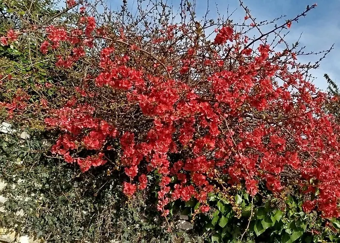 Διαμέρισμα Le Petit Moineau *