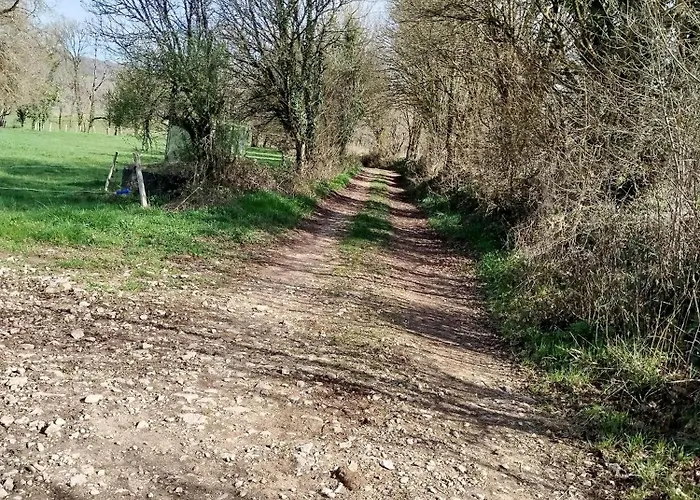 Le Petit Moineau Corgnac-sur-l'Isle